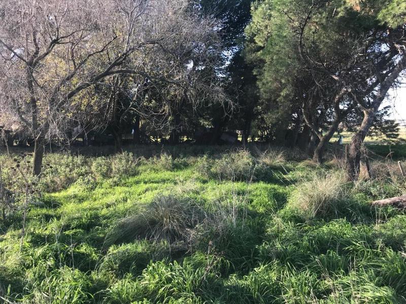 Tres Terrenos - B° Los Chañares. En Bloque O Separados.