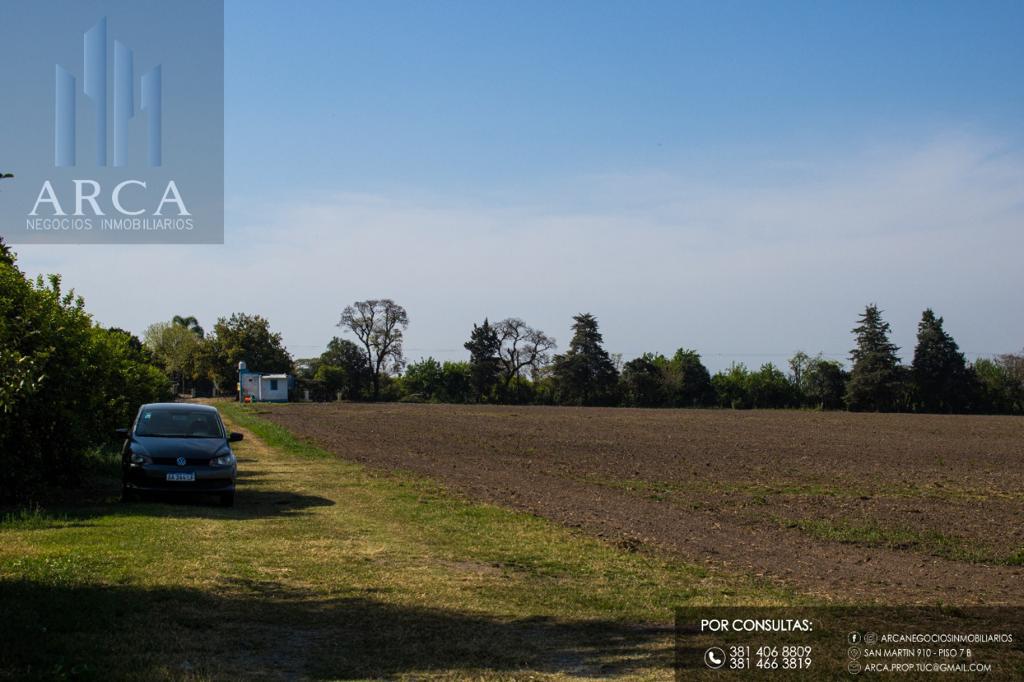 Terreno - Villa Carmela