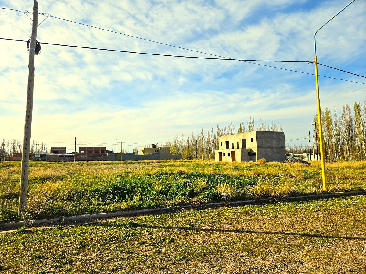 Terreno 360m2 - sobre ruta 7  - CENTENARIO