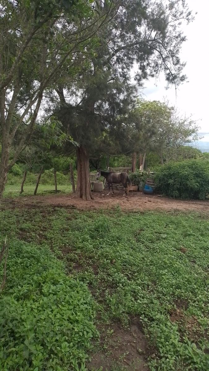 Terreno en  EL CEIBAL