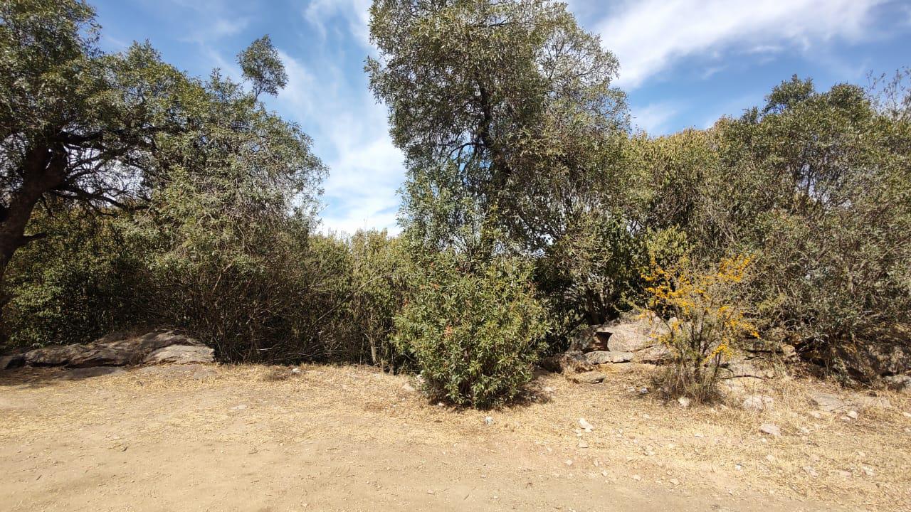 REMATO TRES TERRENOS EN HUERTA GRANDE, SIERRAS DE CORDOBA