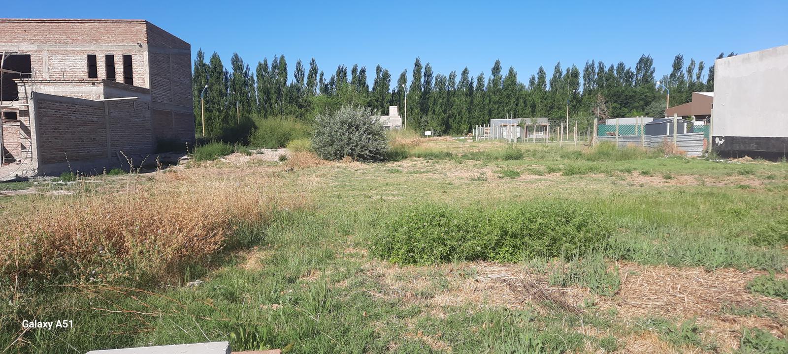 TERRENO EN CENTENARIO, CASCO VIEJO, LOTEO LAS ACACIAS