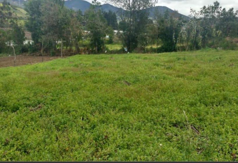 Venta de Lotes - 9586 m2 - Sobre Ruta 2 Km 64