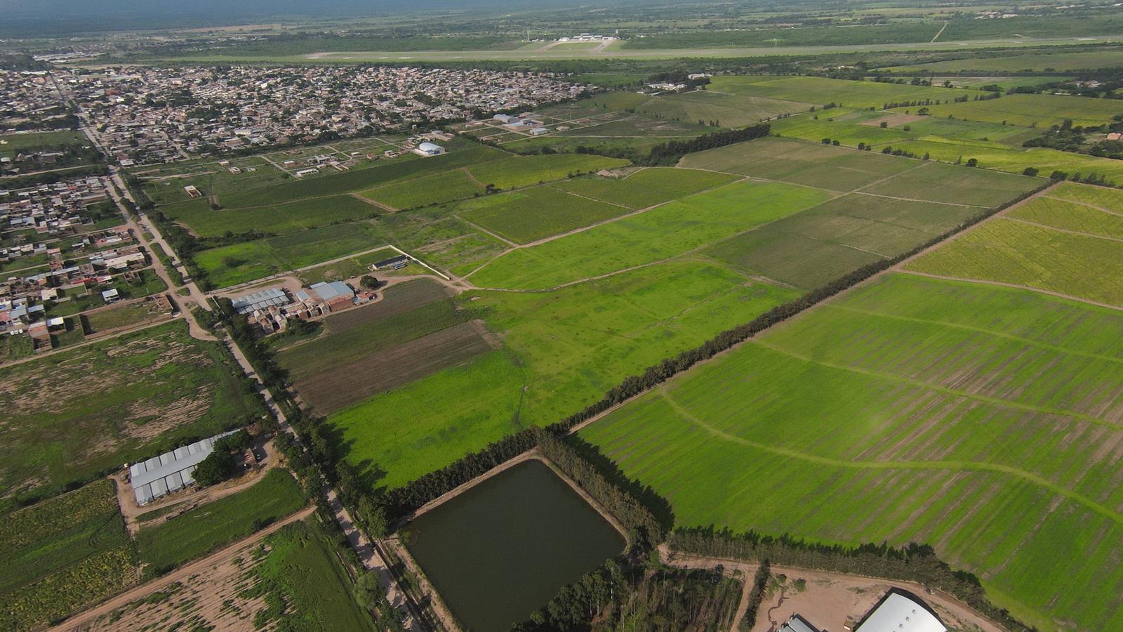 Terreno en Perico