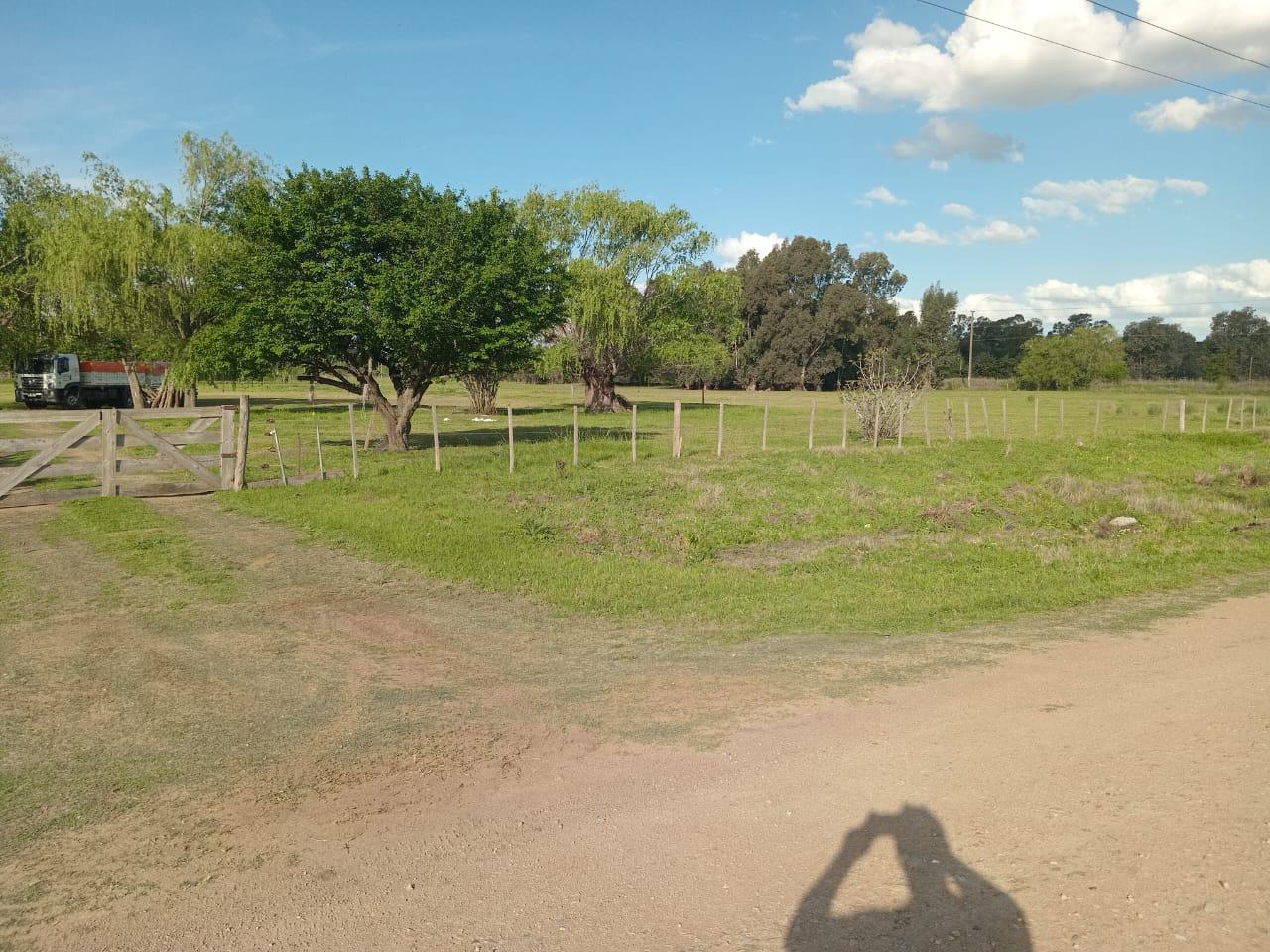 Terreno en Saladillo