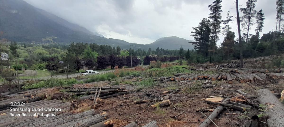 Chacra en  El hoyo, camino al Desemboque