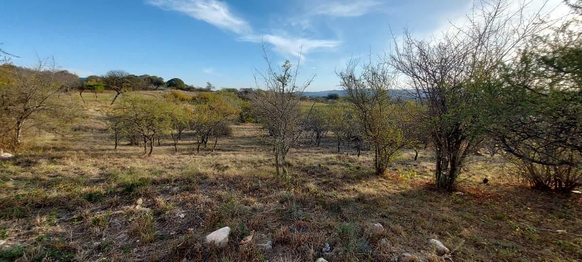 Venta Lote el Terron