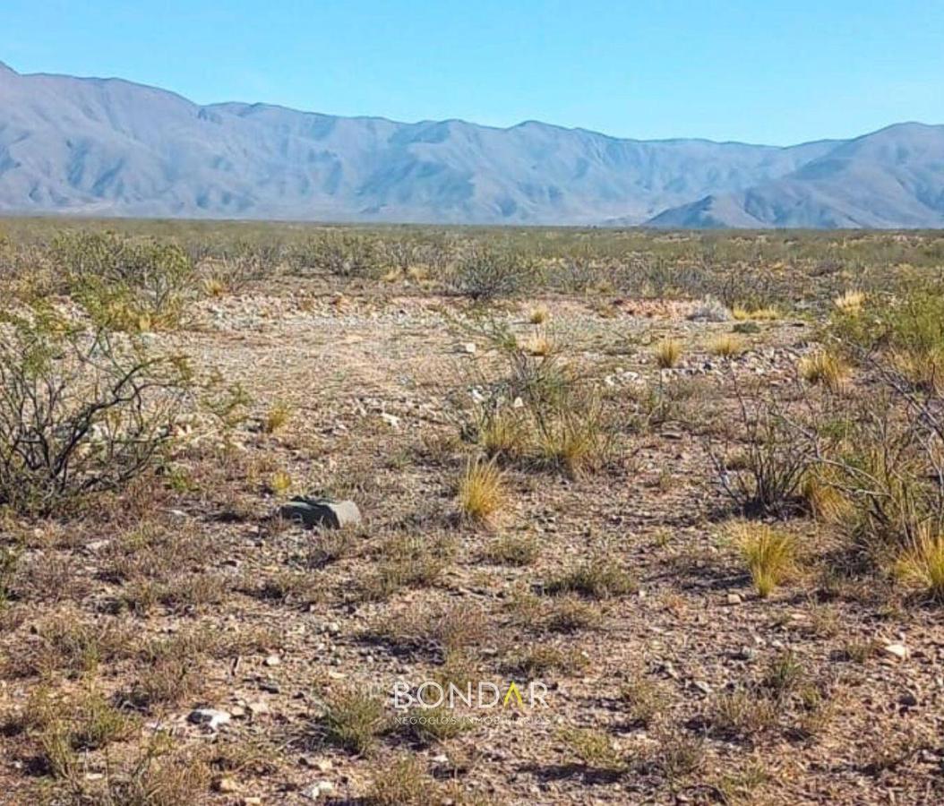 IDEAL INVERSIONISTA. CAMPO CON VERTIENTES DE AGUA MINERAL Y CANTERAS DE PIEDRA.