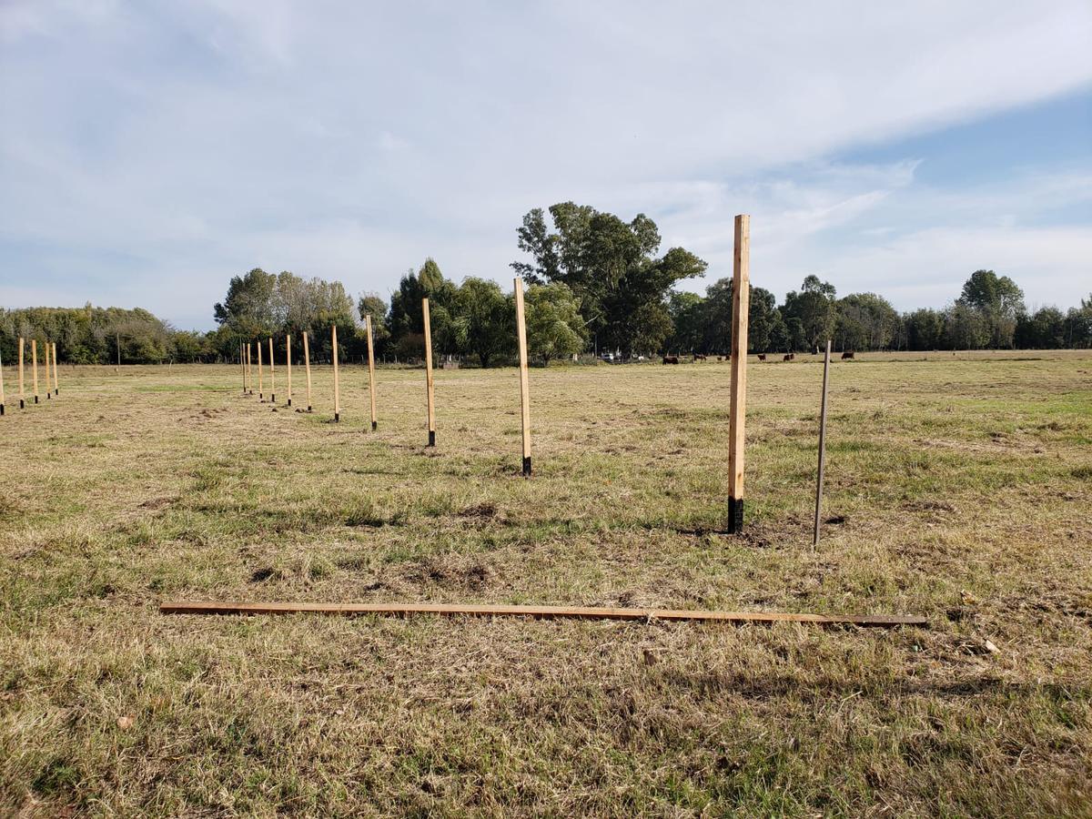 Campo en  Venta ideal desarrollo sobre laguna de San Vicente