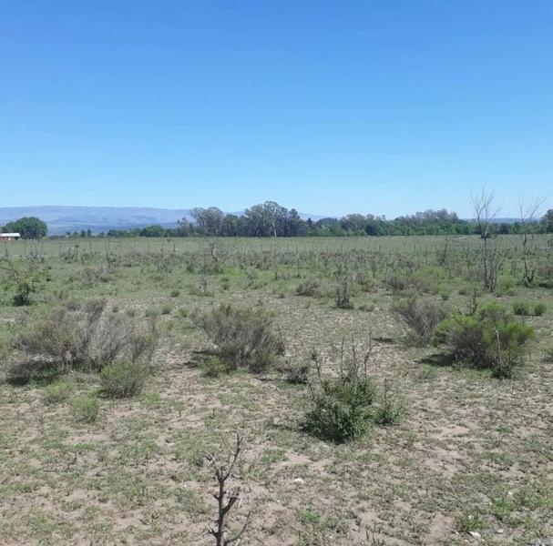 Terreno - Potrero De Garay