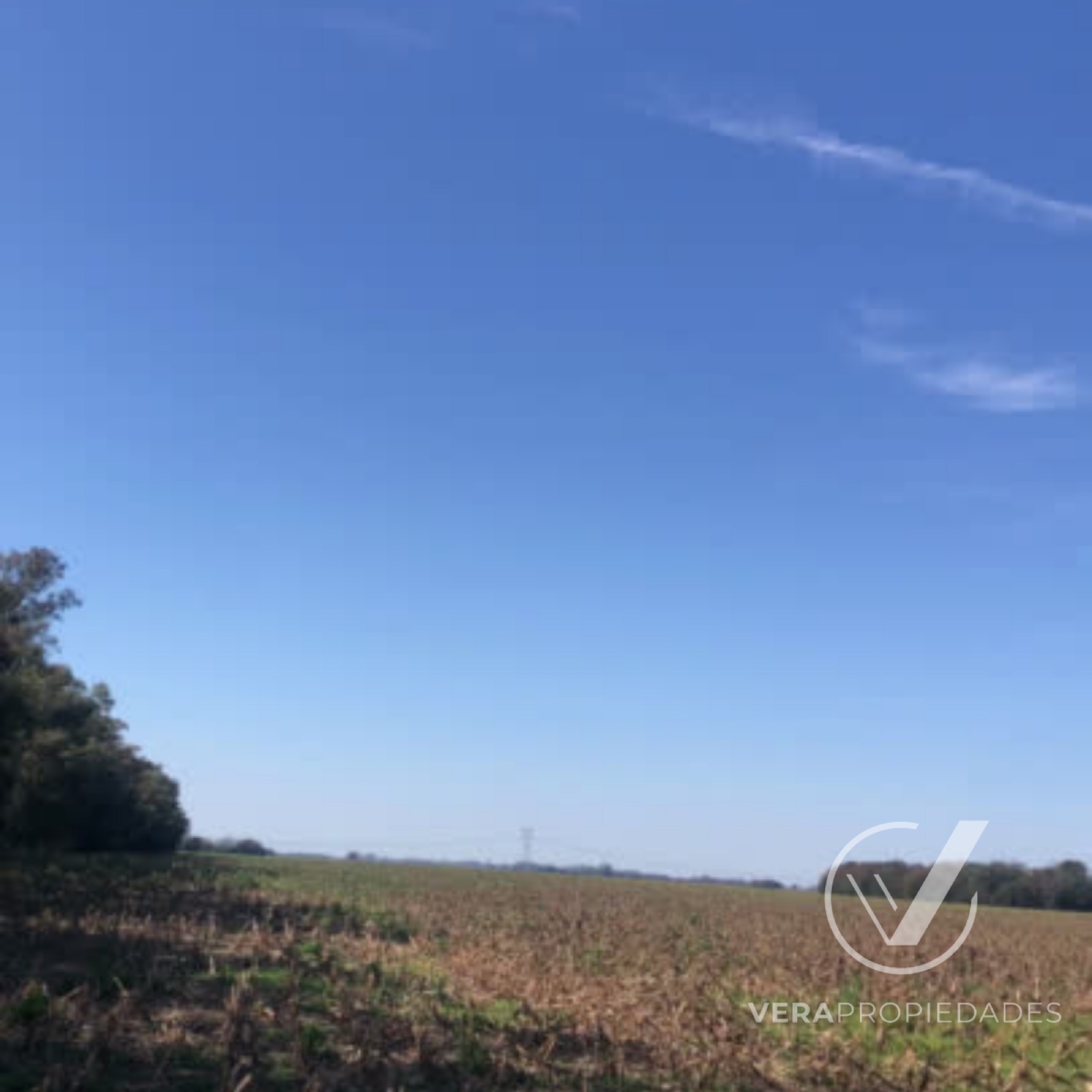 Campo en Baradero