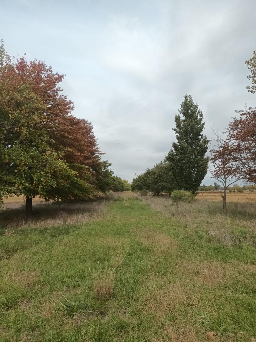 Terreno en Autopista Ezeiza-Cañuelas