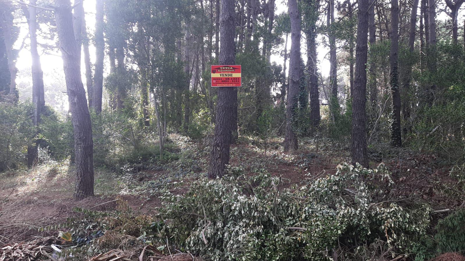 VENTA,Terreno en venta, zona Norte PLAYA, Pinamar