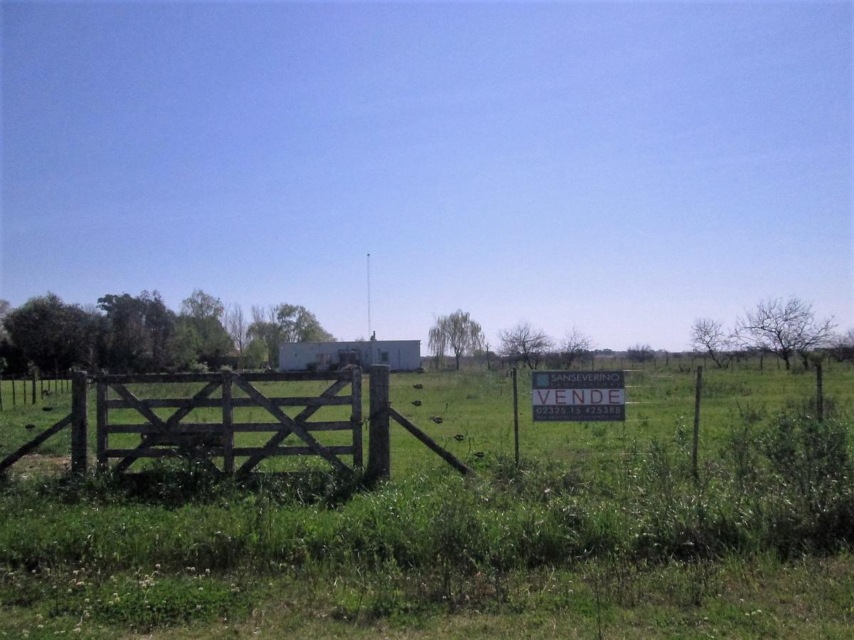 Terreno - San Antonio De Areco