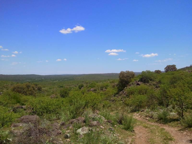 Campo en Córdoba, a pasos de Embalse Cerro Pelado, Calamuchita.