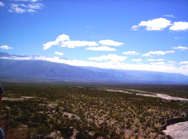 Campo Apto para Viñedo en Venta - Tolombón, Salta