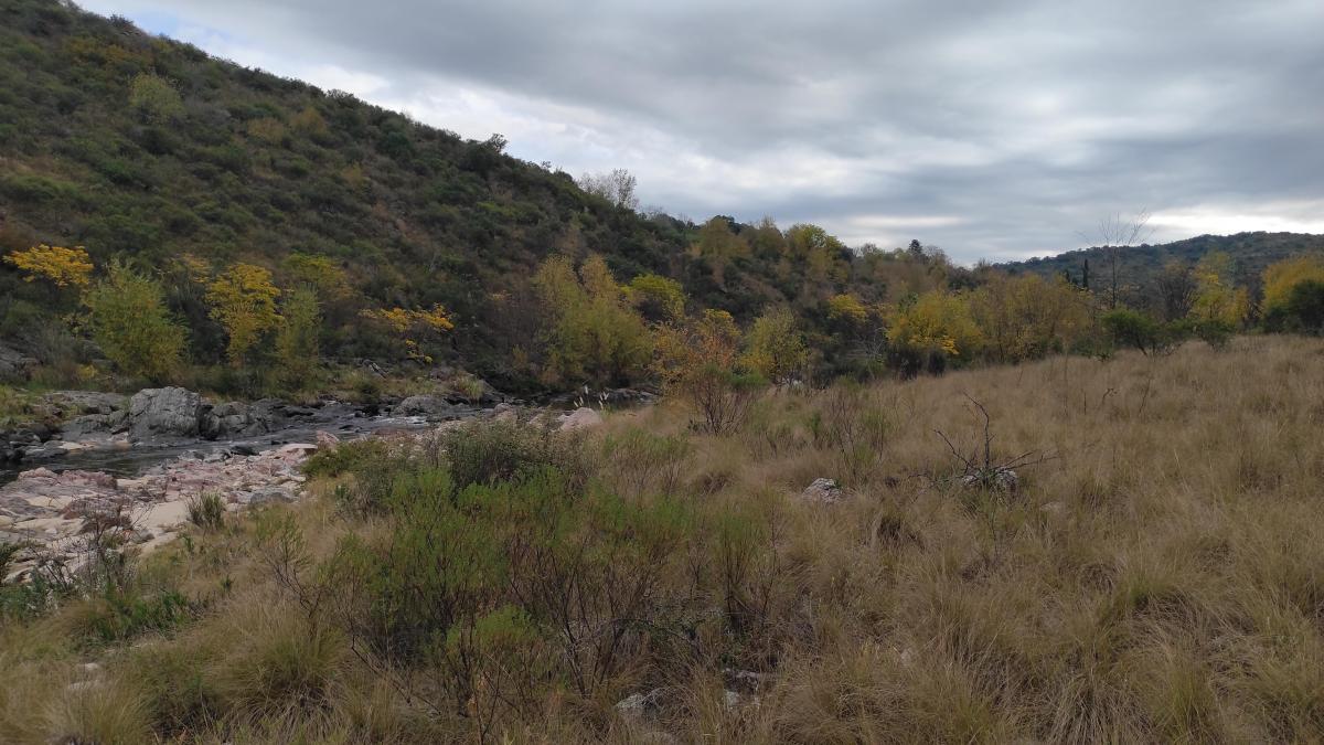 Campo A La Venta En Mayu Sumaj - Mas De 1000 Mts De Costa Al Río San Antonio