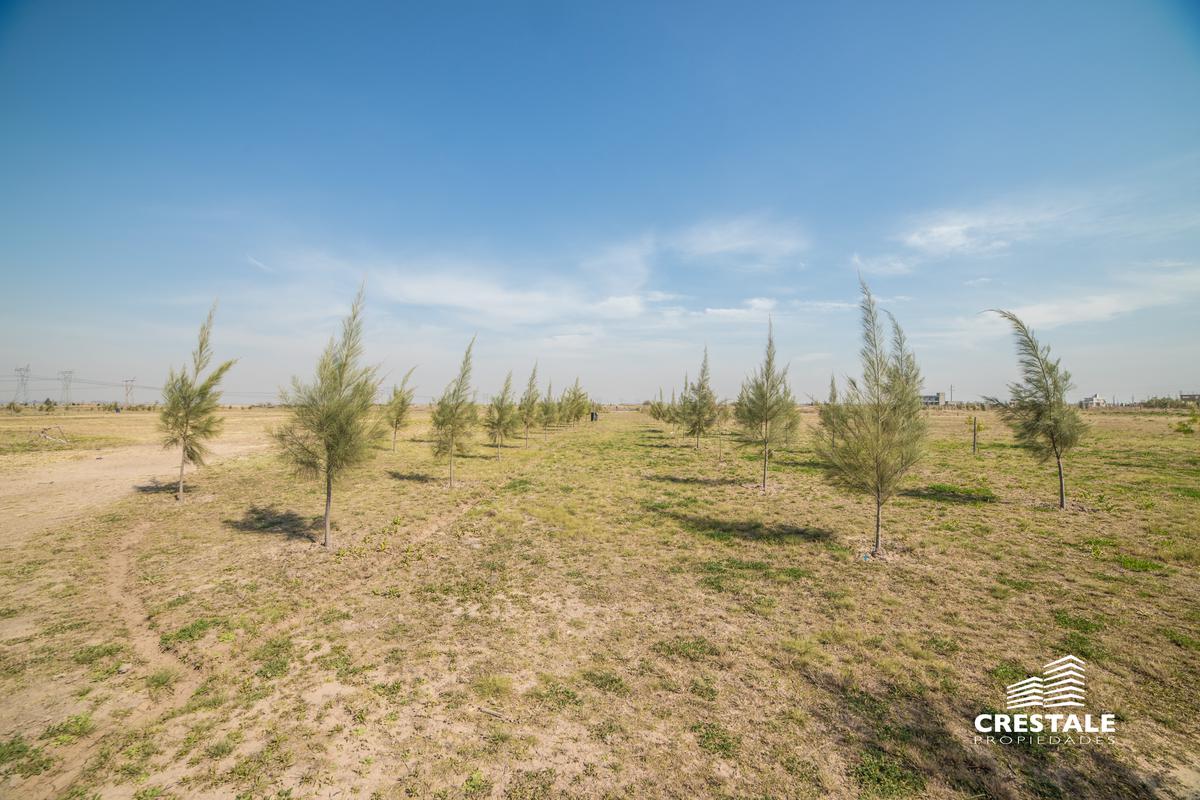 Campo - Haras de Funes