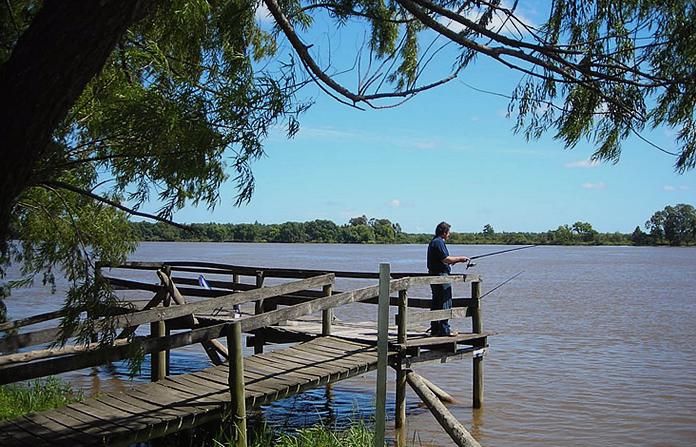 Chacra en Puerto Panal Club de Campo (consultar precio alquiler)