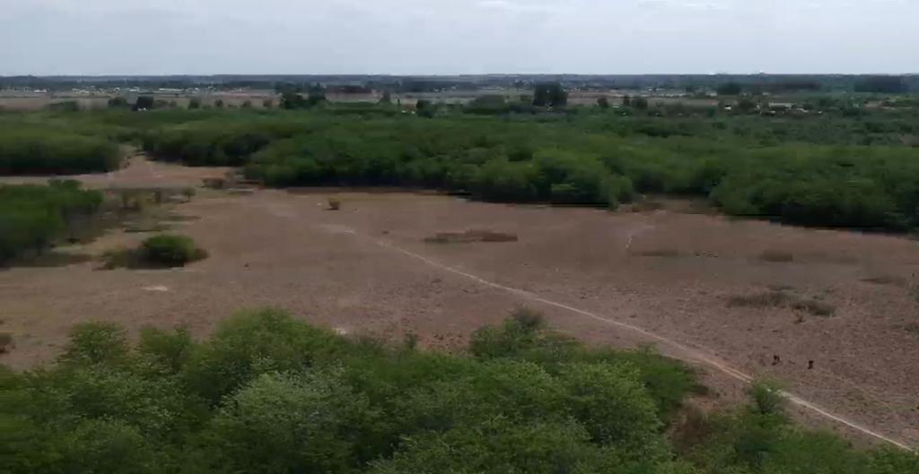 CAMPO EN ALEJANDRO KORN IDEAL DESARROLLO