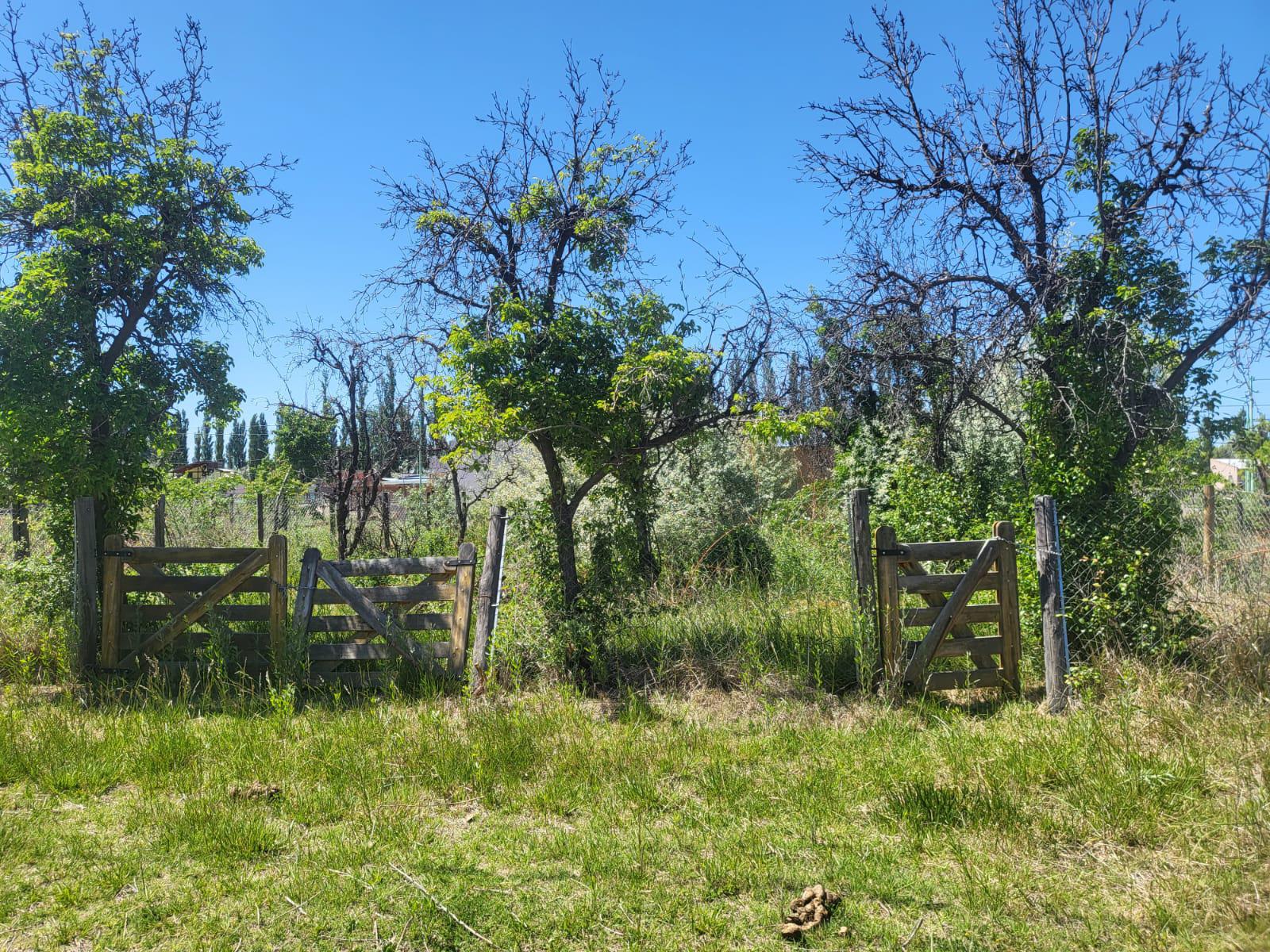 Terreno en  Loteo Nueva Era Cinco Saltos