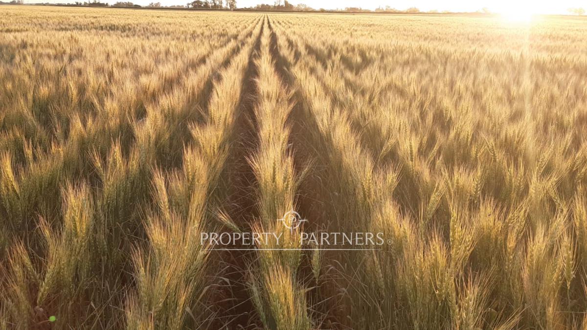 102 ha de Campo en Azul