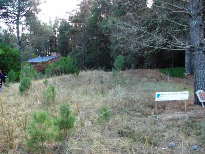 TERRENO EN MAR DE LAS PAMPAS