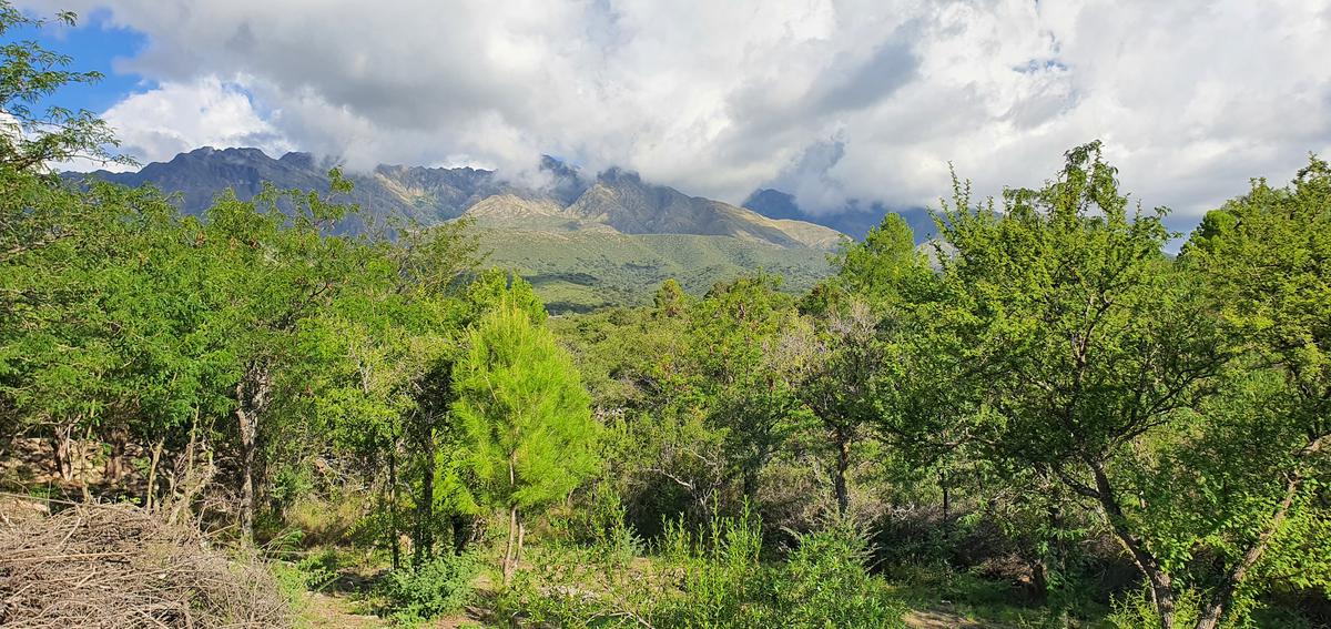 Terreno en  Las Rabonas (Traslasierra) 7.500 mts2!!!