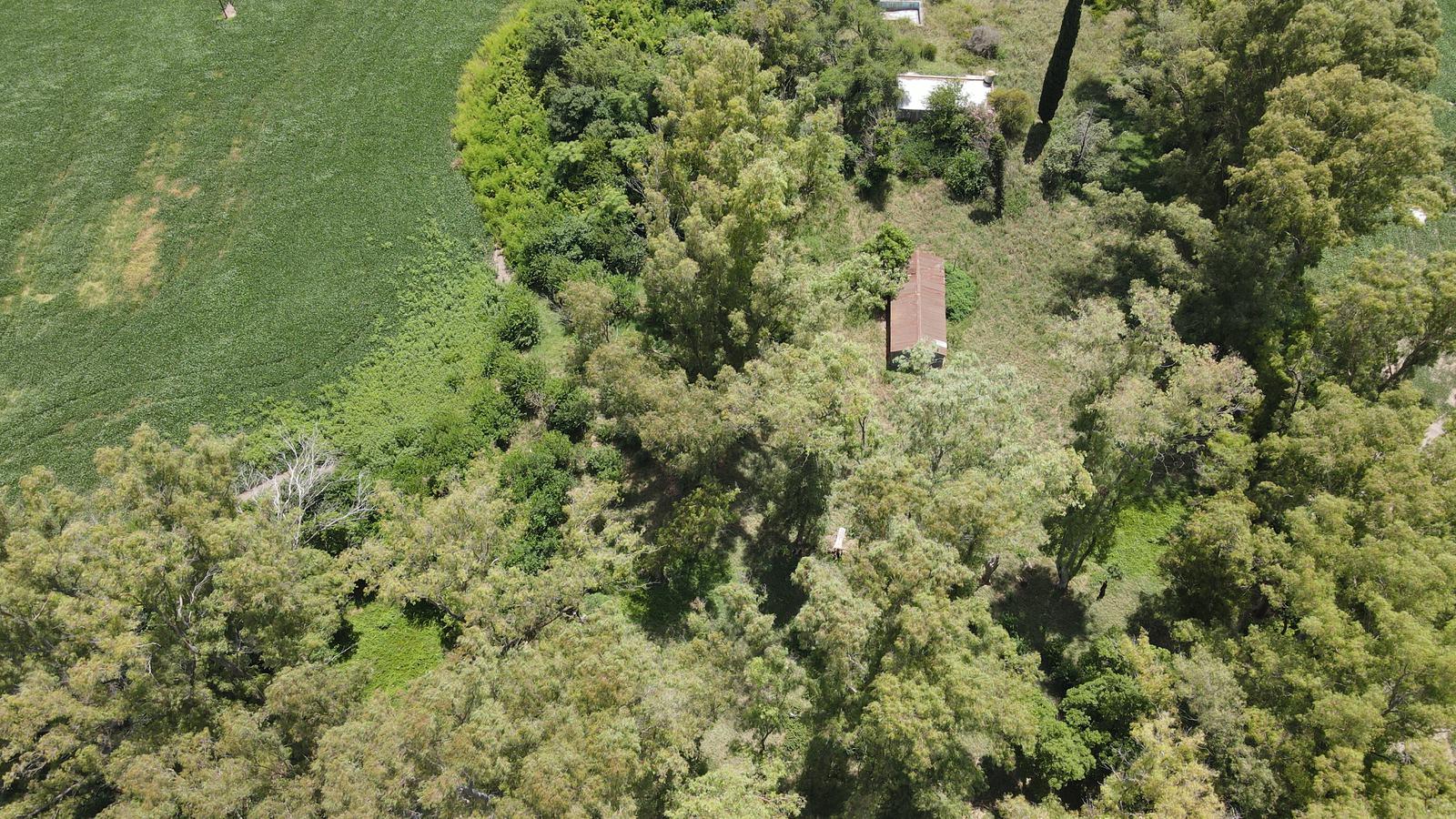 Campo de 200 has en Pergamino.  Totalmente Agrícola. Zona Núcleo. OPORTUNIDAD