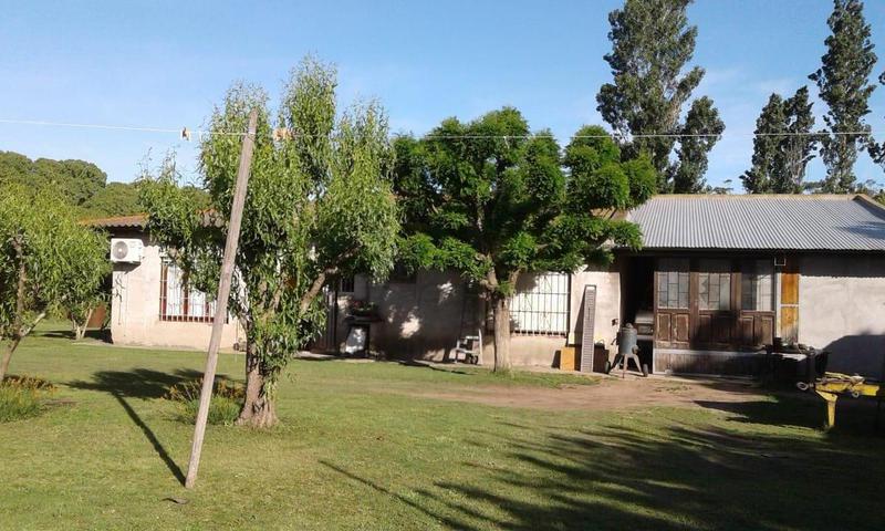 Casa quinta sobre lote de 10.000m2 en Necochea