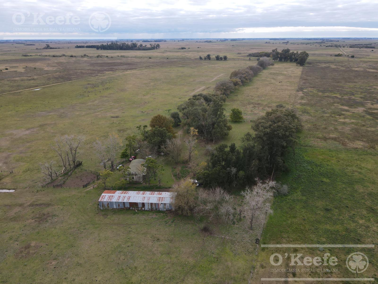 CHACRA PRODUCTIVA EN VENTA DE 45 HAS - FACIL ACCESO - LOMA VERDE, RANCHOS