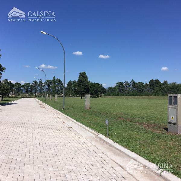 lote en venta antigua estancia villa allende padre luchesse