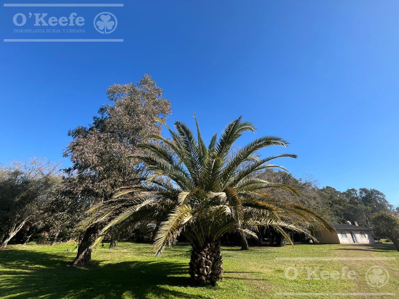 Hermosa quinta en el pato con quincho, pileta sobre lote de 5200 m2