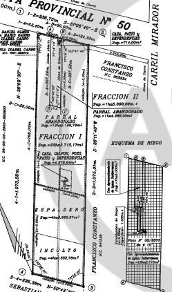 19 hectareas sobres Asfalto y pozo Santa Rosa Mendoza