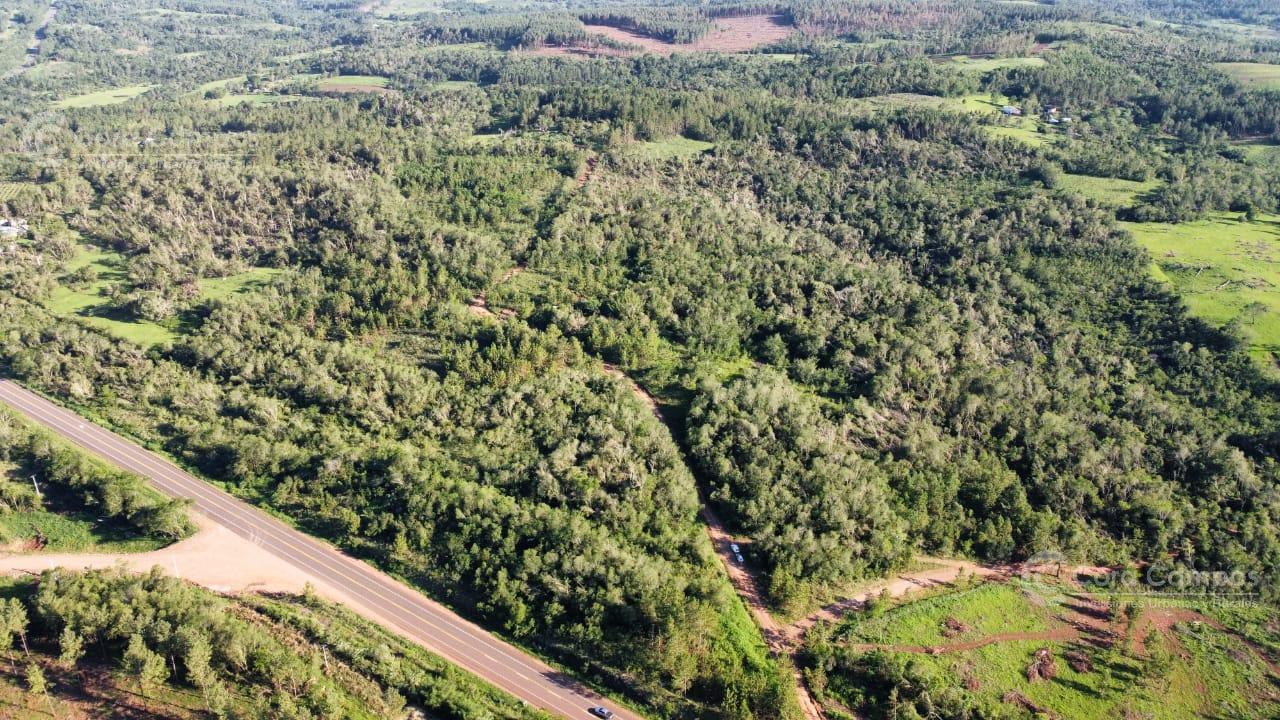 Se vende Chacra de 23ha sobre Ruta Nacional Nº14 Cerro Azul, Misiones