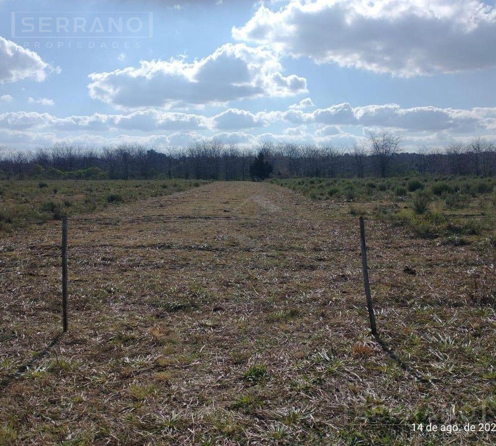 Venta Lote de terreno de 1500m2  en Molino Blanco,  Exaltación de la Cruz limite con Pilar