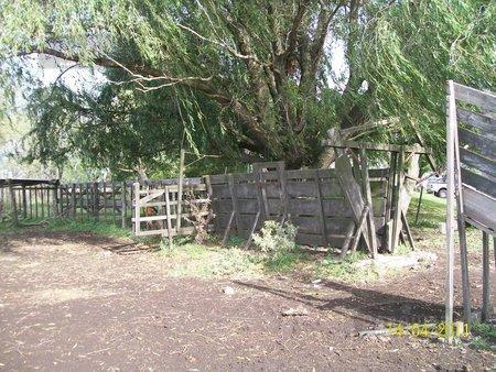 Campo en Lobos