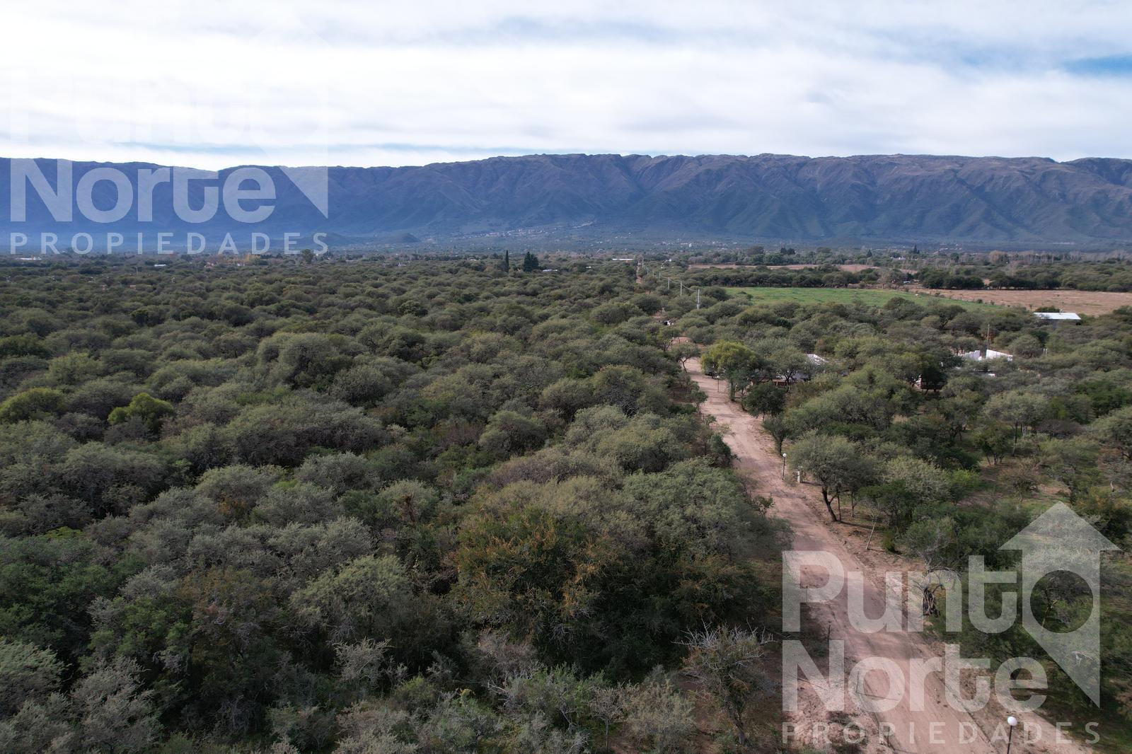 Terreno en Carpinteria a 6 cuadras de ruta 1