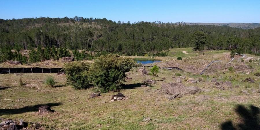 ¡OPORTUNIDAD! LOTE EN VENTA  EL DURANZO  VALLE DE CALAMUCHITA