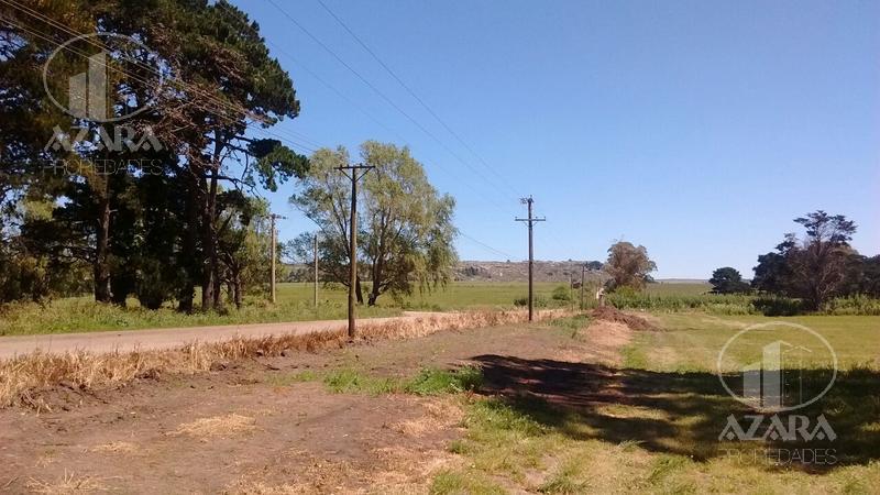 Campo en Sierra de los padres