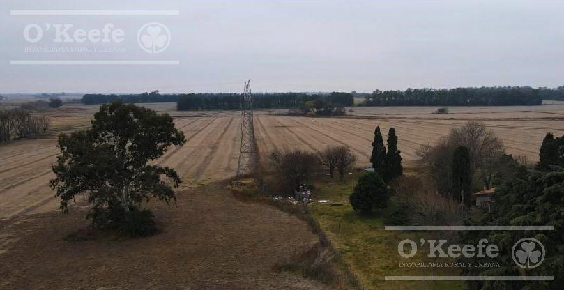 Chacra  agricola en Venta 32 Has en San Pedro a metros de ruta