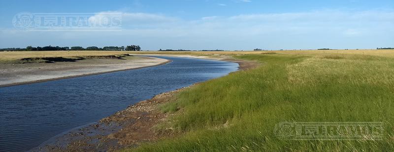 Campo Ganadero Recría en venta. Punta Indio/Chascomús, BA