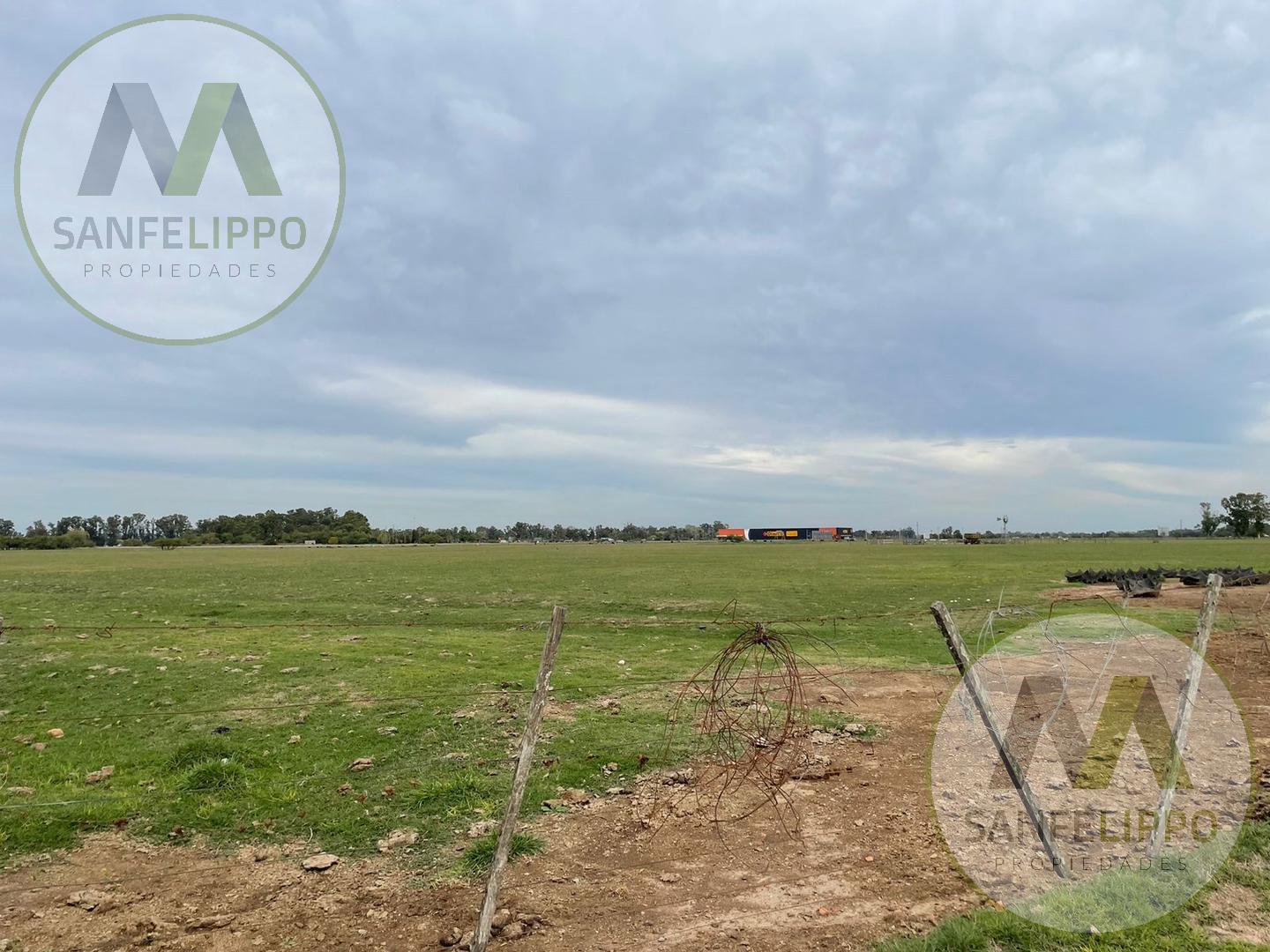 Campo en venta - Chacra 17 y 24