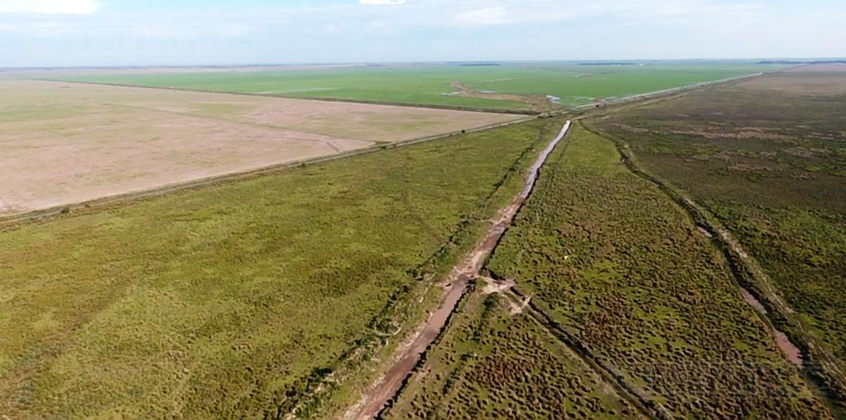 Campo en  Dto. Berón de Astrada, Corrientes