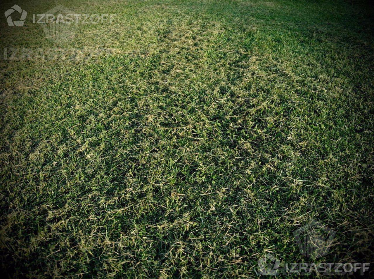 Terreno - Albanueva. ZONA Mediterranea