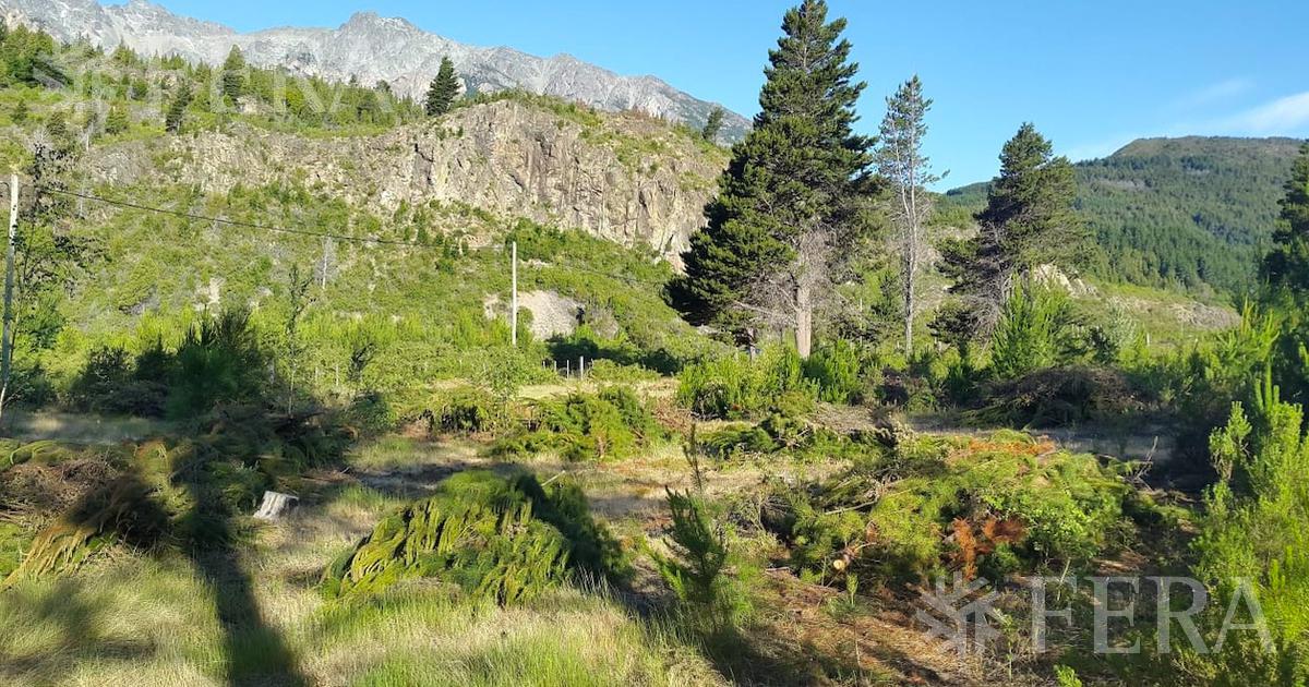 Venta de hectárea en El Hoyo - Chubut (30132)