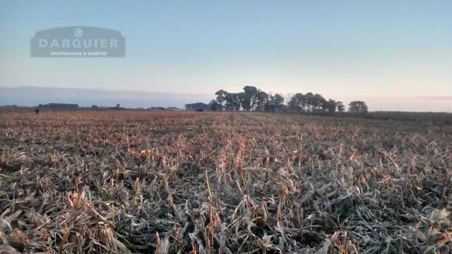 100 HA. CAÑUELAS