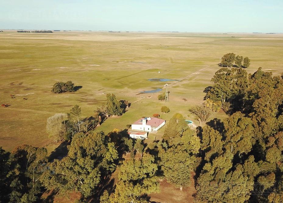 Campo - Benito Juarez