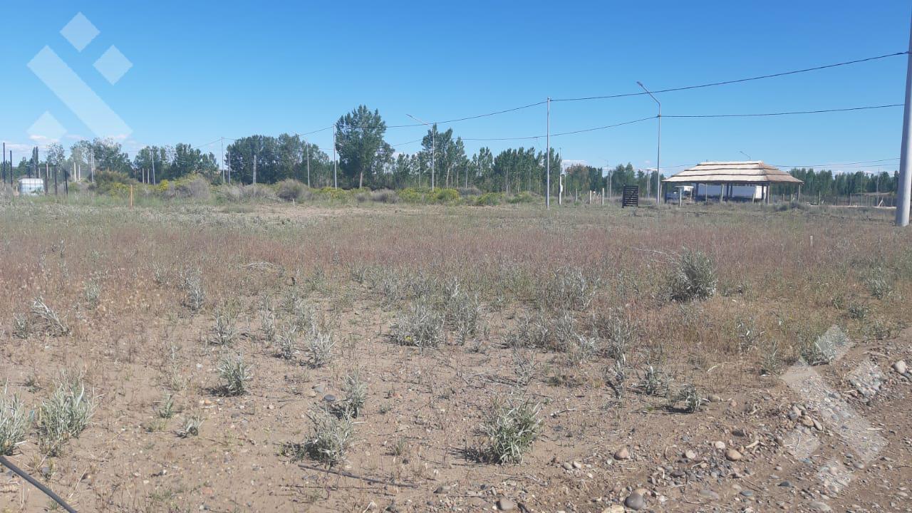 Venta lote en esquina de 299 m2 - China Muerta - Neuquén