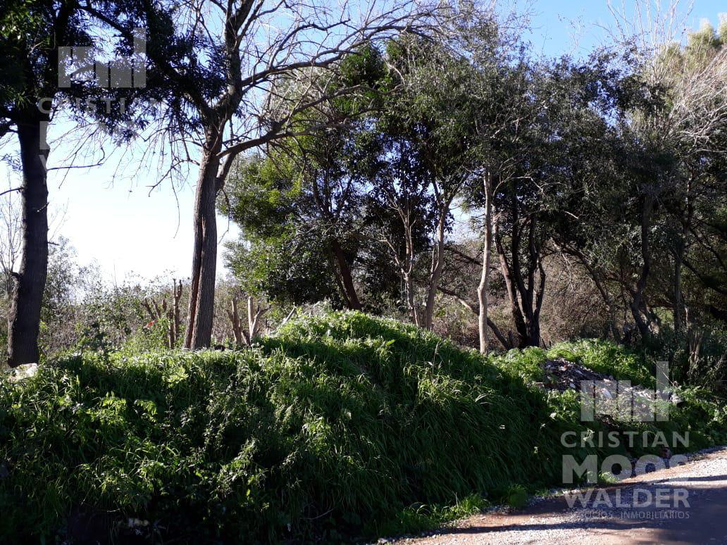 Lote en Venta en Loma verde -